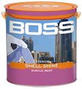 Sơn Boss EXT Shell Shine Màu Đặc Biệt 4.375Lit